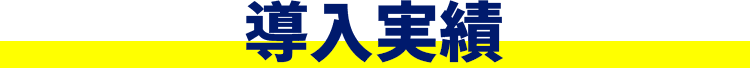 実績タイトル